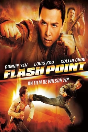 Poster Flashpoint 2007