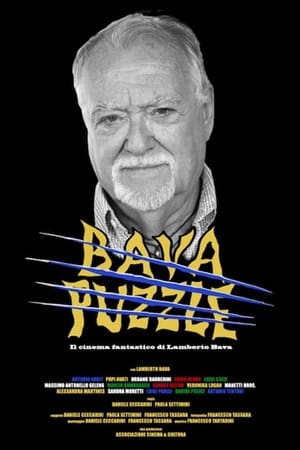 Poster Bava Puzzle (2018)