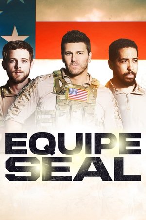 Equipe SEAL: Temporada 1