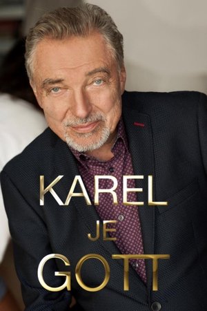 Karel je Gott poster