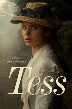 Filming Tess poster