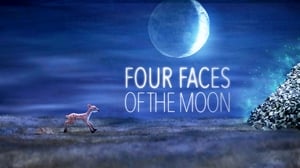 Four Faces of the Moon