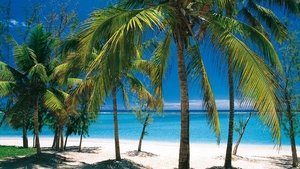 Road to Avonlea: 1×2