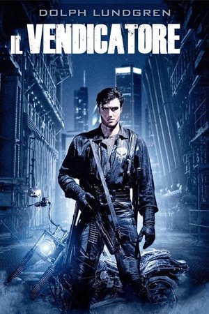 Image Il vendicatore - The Punisher