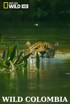 Image Wild Colombia