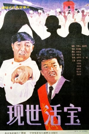 Poster 现世活宝 1990