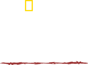 Primal Survivor — Logos 1