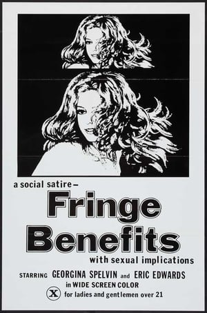 Fringe Benefits