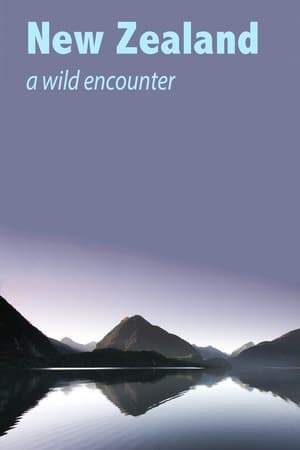 New Zealand - A Wild Encounter