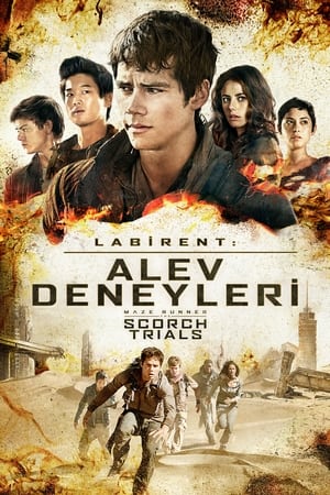 Poster Labirent: Alev Deneyleri 2015