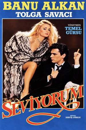 Seviyorum 3