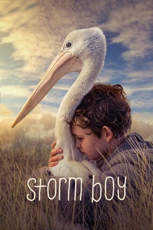 Poster Момчето и пеликанът 2019