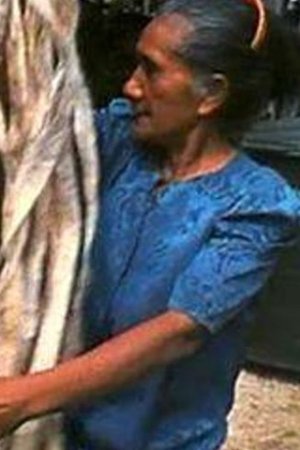 Kuo Hina E Hiapo: The Mulberry is White and Ready for Harvest (2001)
