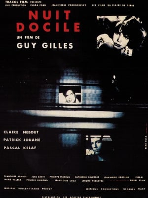 Poster Nuit docile 1987