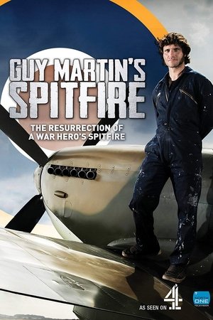 Image Guy Martin's Spitfire