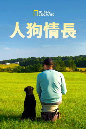 Man, Woman, Dog