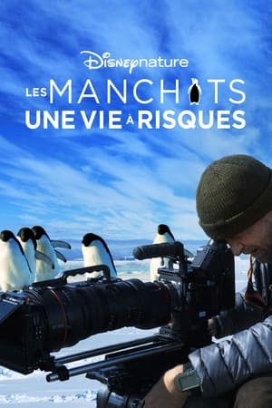 Poster Les Manchots, une vie à risques 2020