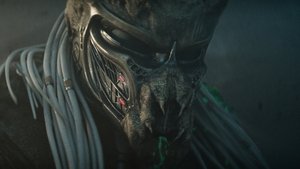 Images posters