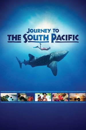 Poster South Pacific 2013