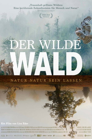 The Wild Forest 14