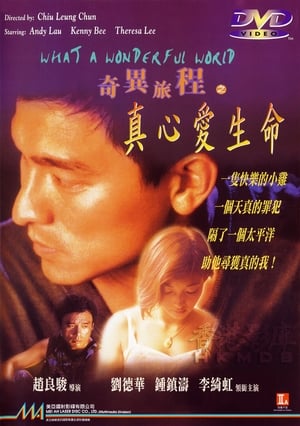 Poster 奇異旅程之真心愛生命 1996