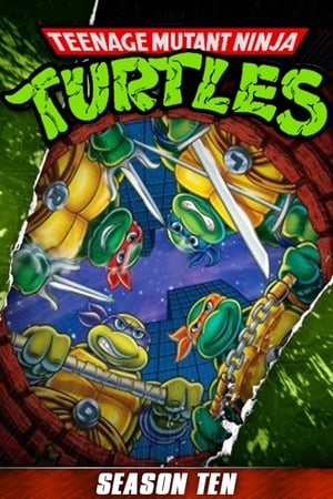 Teenage Mutant Ninja Turtles: Season 10