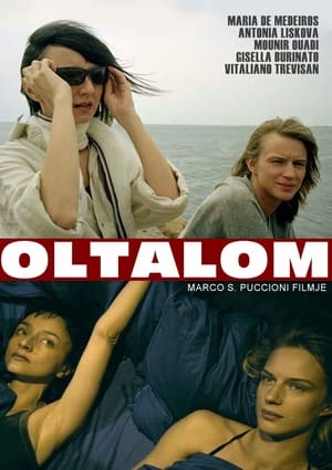 Poster Oltalom 2007