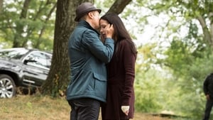 The Blacklist 2×4