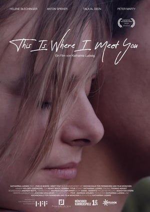 Poster This Is Where I Meet You (2019)