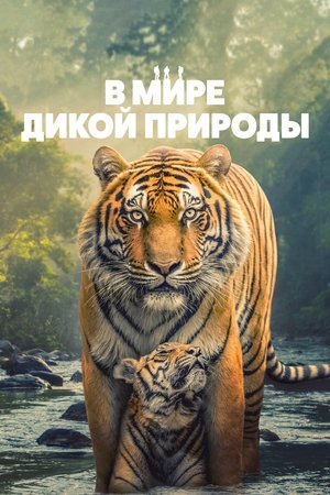 Image В мире дикой природы