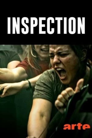 Poster Inspektion 2018