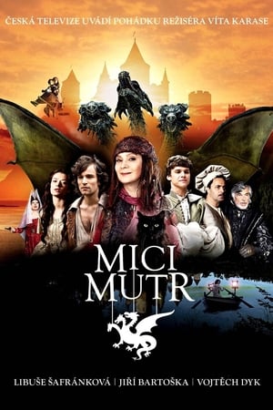 Poster Micimutr 2011