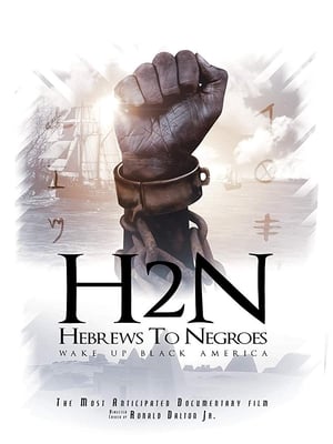 Poster Hebrews to Negroes: Wake Up Black America (2018)