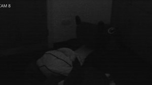 The Hugo incident still 1