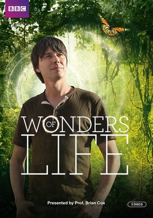 Wonders of Life Wonders of Life