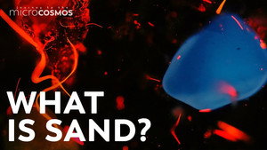 Sand Is Full of Life and Death still