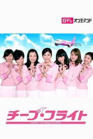 Cheap Flight!! poster