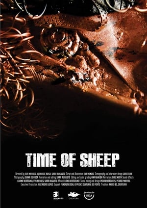 Image Time of Sheep