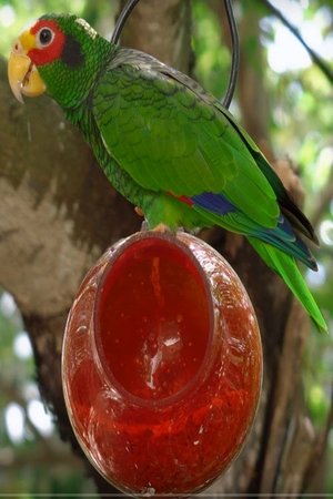 Nonton film Breathtaking Colors of Nature (2018) terbaru sub indo Nonton film Breathtaking Colors of Nature (2018) terbaru sub indo