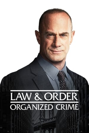 Lei e Ordem: Crime Organizado - Poster
