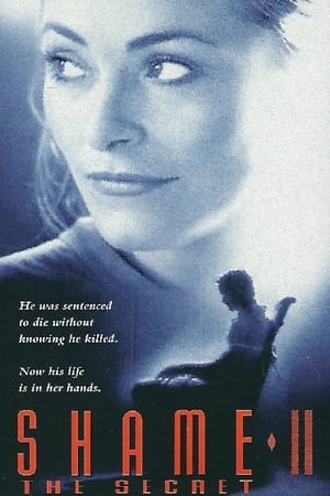 Poster Shame II: The Secret (1995)