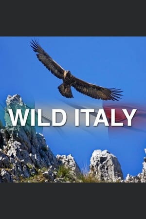 Wild Italy poster