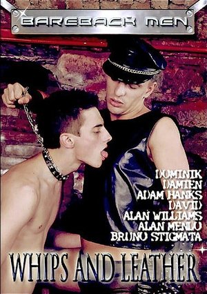 Image Whips and Leather