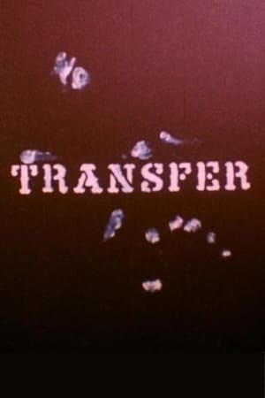 Poster di Transfer