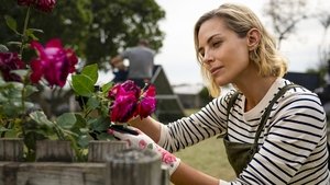 Muzzle City of Wolves (2025)