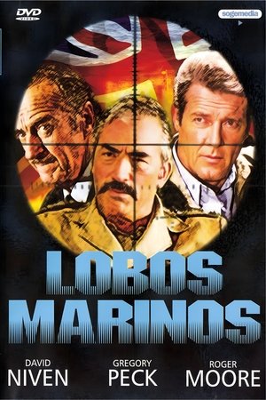 Image Lobos marinos