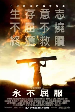 Poster 坚不可摧 2014