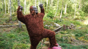 The Skåne Yeti