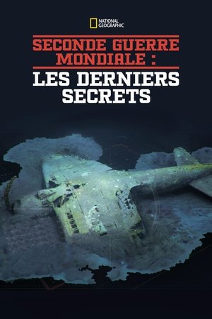 Seconde Guerre Mondiale : les derniers secrets movie poster