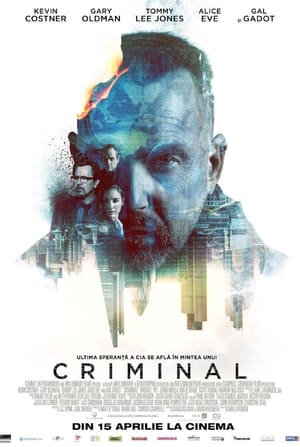 Poster Criminal 2016
